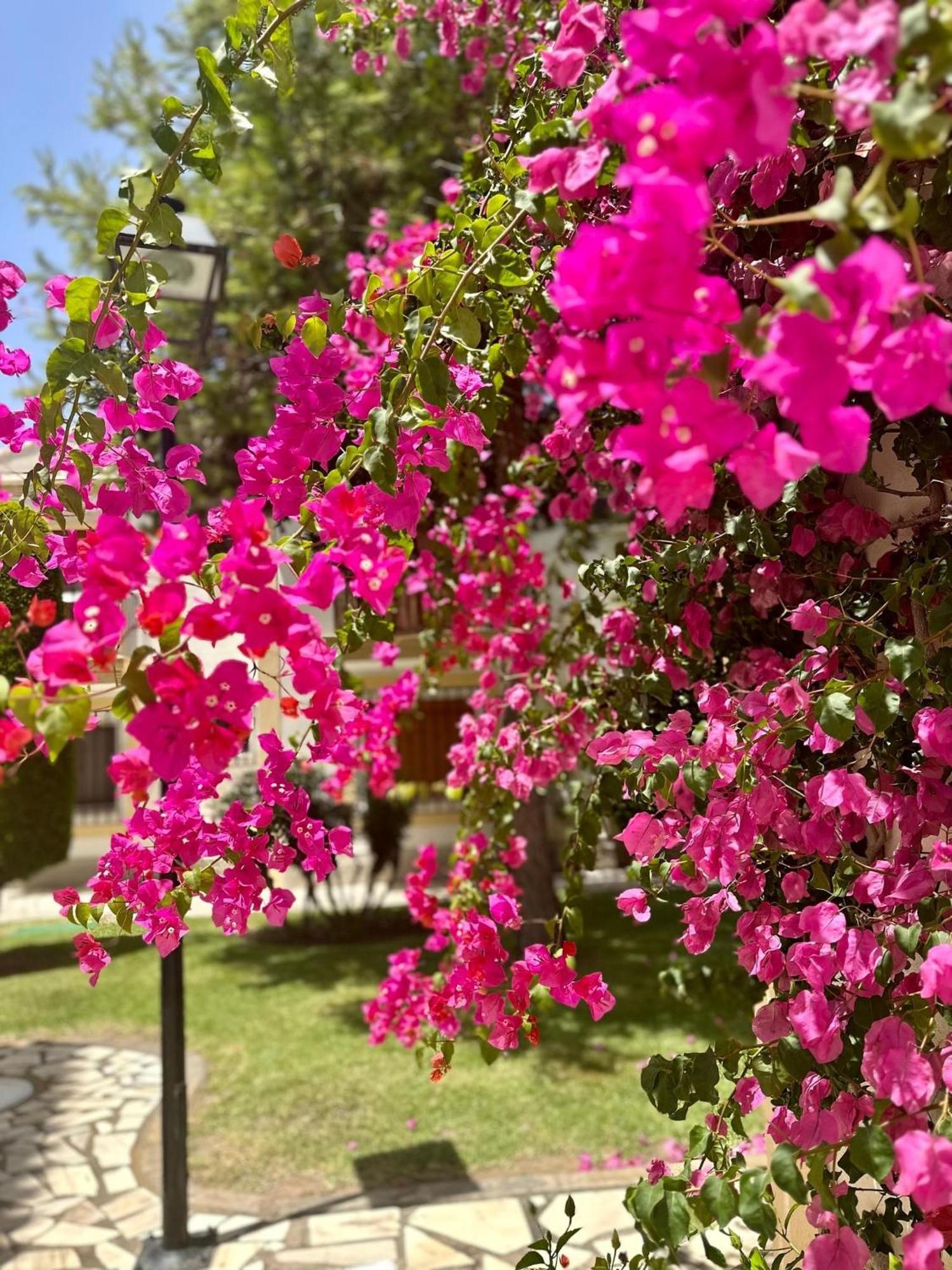 Casa Veranera Vera Costa Playas de Vera Zewnętrze zdjęcie