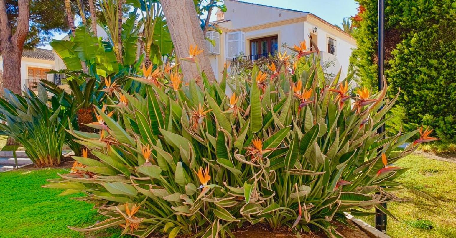 Casa Veranera Vera Costa Playas de Vera Zewnętrze zdjęcie